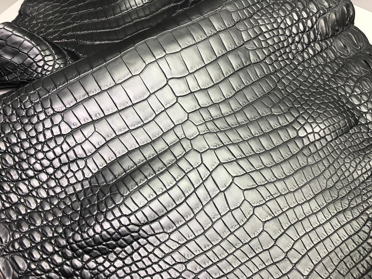 crocodile skin 2